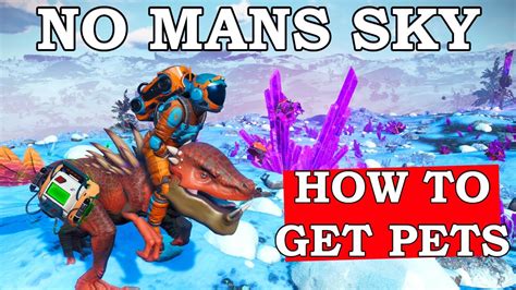 how to tame a flying creature nms